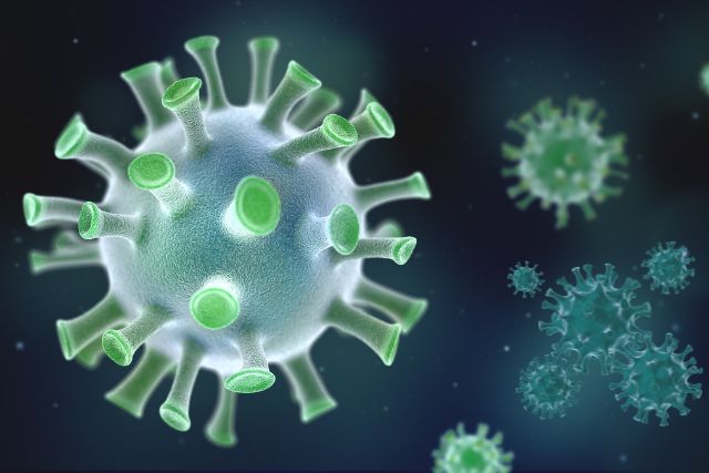 Outbreak of Human Metapneumovirus (HMPV) in China What You Need to Know